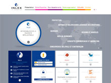 Détails : Inlex, droits de propriété intellectuelle & industrielle